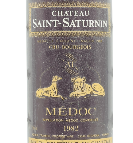 Château Saint Saturnin